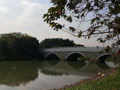 -海珠湖公园