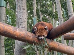 -北京野生动物园