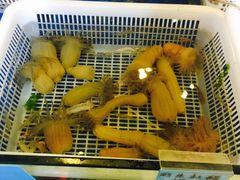 -鹰龙海畔度假酒店(咸祥店)