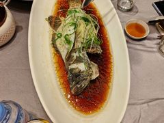 -骏莱海鲜鱼港(五角场店)