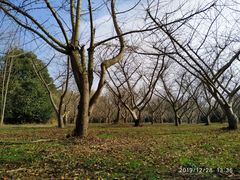 -同里国家湿地公园