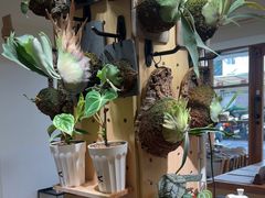 -本無咖啡·BeanWood Coffee