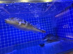 -聚宝渔港.五钻酒家(上地店)