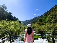 -九寨沟-树正沟