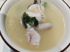 -七采菌园·石锅鱼野生菌火锅(环城北路店)