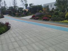 -杨柳河(地铁站)