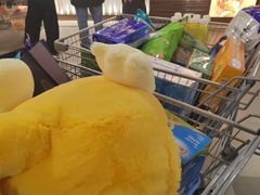 -山姆会员商店(上海浦东店)
