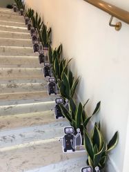 -海涛医疗美容·面部抗衰·注射美鼻