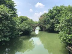 -乌镇景区