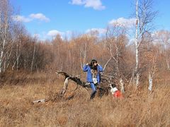 -塞罕坝国家级自然保护区