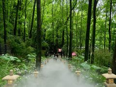 -杭州灵山景区