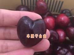 -嘿嘛仓储购(华明店)