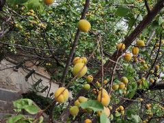 -白鹿温泉加勒比水上乐园