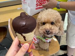 -DQ·蛋糕·冰淇淋(三亚青春颂店)