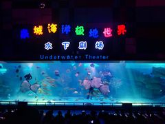 -泉城欧乐堡海洋极地世界