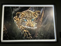 -罗红摄影艺术馆