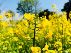 -福建鲤鱼洲酒店