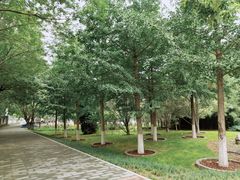 -长辛店二七公园