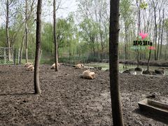 -溱湖国家湿地公园