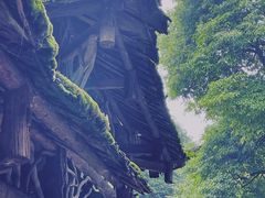 -青城山