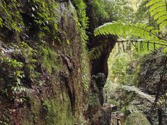 -赤水丹霞旅游区·佛光岩
