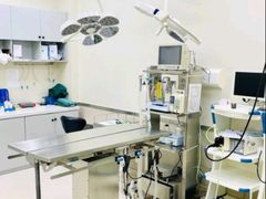 -爱妮康宠物医院·干细胞免疫细胞·肿瘤·心脏(张江店)