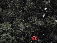 -钟山体育运动公园