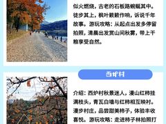 -泽雅景区