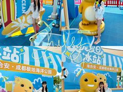 -海合安成都极地海洋公园