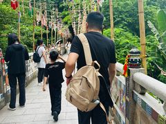 -西双版纳原始森林公园