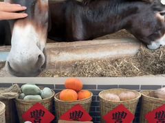 -元鼎宝驴香·全驴宴(江宁店)