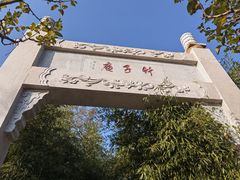 -竹子庵公园
