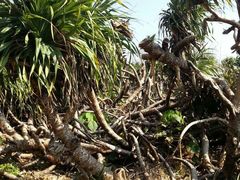 iphone_upload_pic-龙坑生态保护区