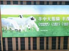 -丰茂烤串(公园店)