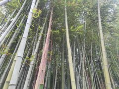 -汇龙潭