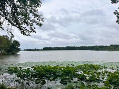 -东湖落雁景区