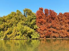 -上海海湾国家森林公园