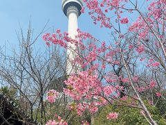 -龟山风景区-龟山电视塔