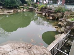 -铁山坪森林公园