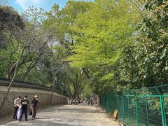 -上海佘山国家森林公园天马山园