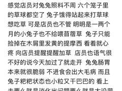 -龙猫仔乐园(惠福东路店)