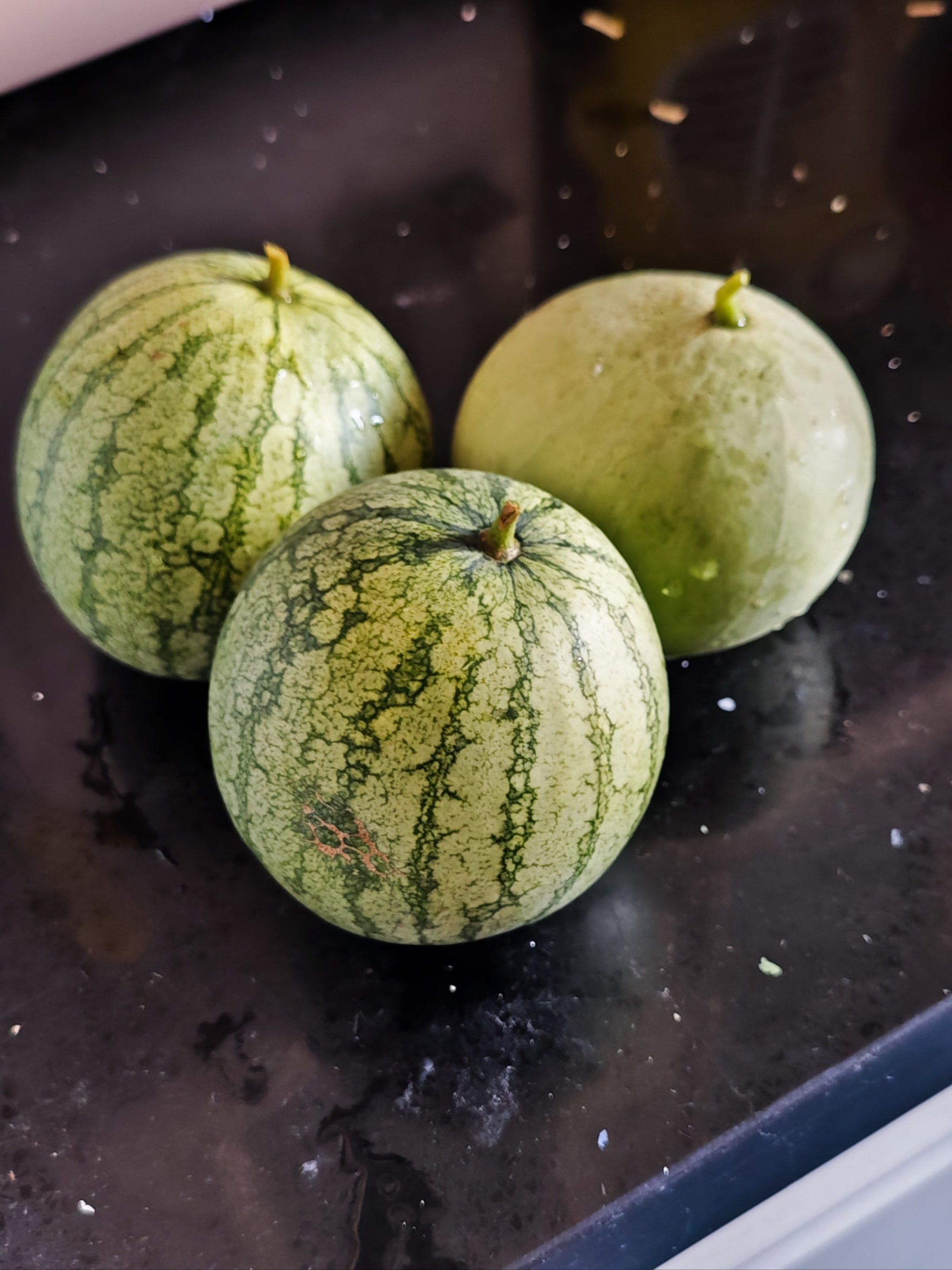 阳台种了3个月 长了3个小西瓜