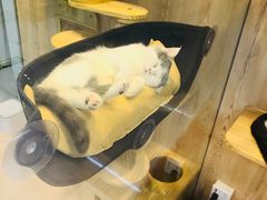 -米卢宠物公园(广华居店)