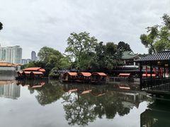 -侨美·唐荔园·40年地道粤菜