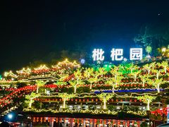 -枇杷园食为鲜火锅(南山店)