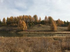 -塞罕坝国家级自然保护区