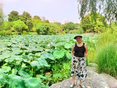 -花溪公园