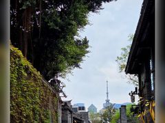 -古今茶语·峨眉山有机茶体验馆