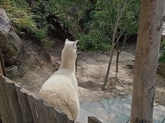 -汕尾铜鼎山旅游区