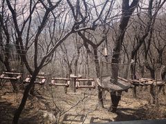 -云蒙山风景区